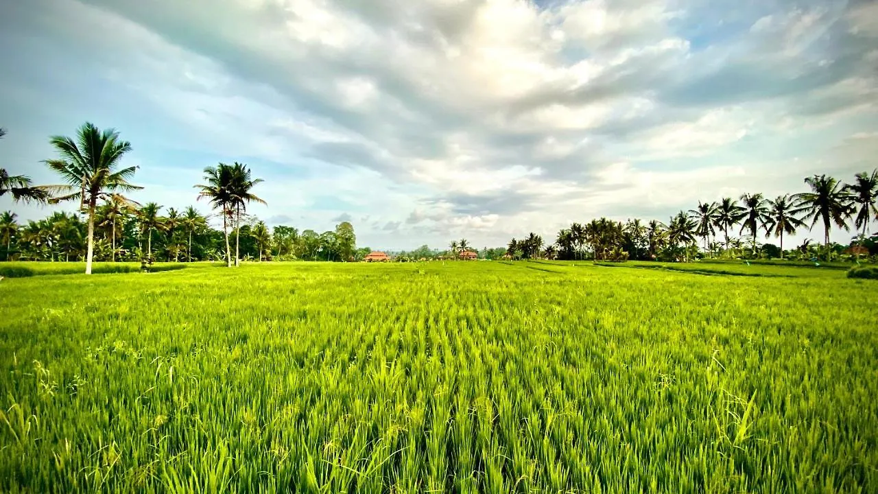 Bed & Breakfast Villa Sawah Ramah Ubud